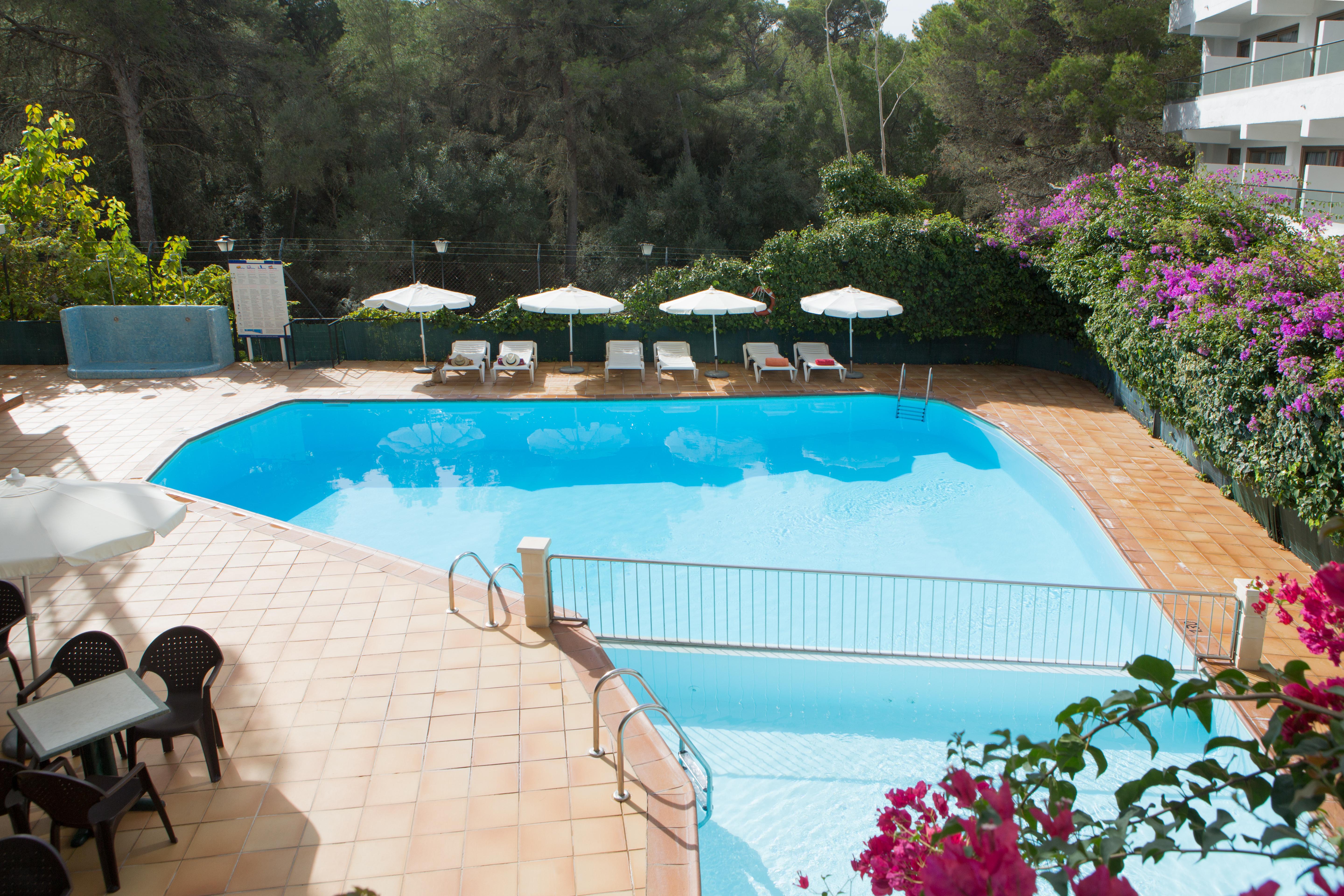 Alea Hotel 3*